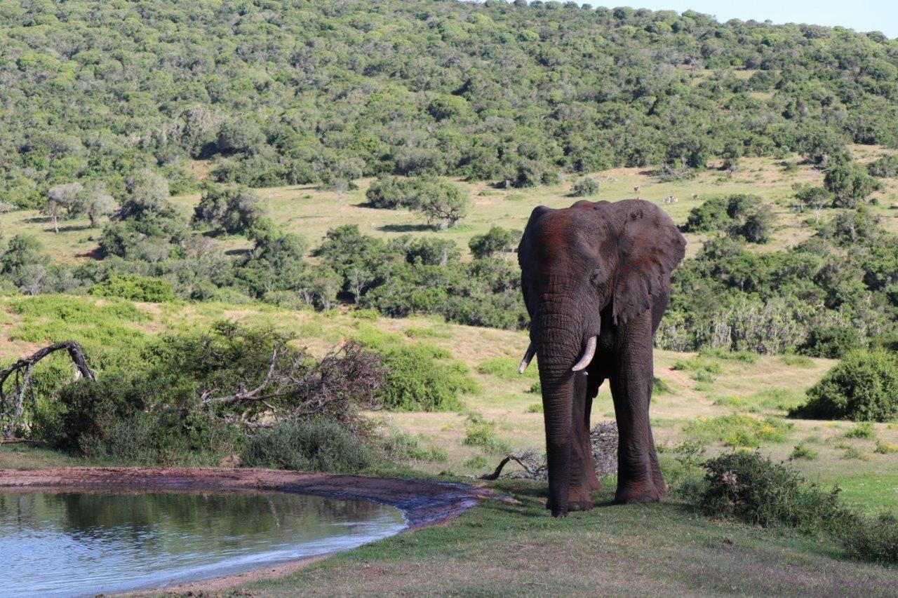 Hopewell Private Game Reserve Buyskloof Exterior photo